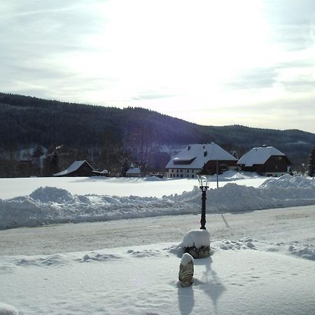 Hotel Rheingold Garni Titisee-Neustadt Buitenkant foto