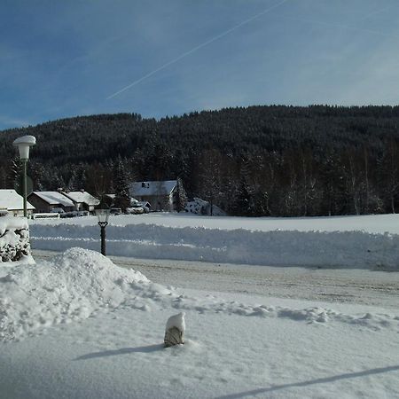 Hotel Rheingold Garni Titisee-Neustadt Buitenkant foto