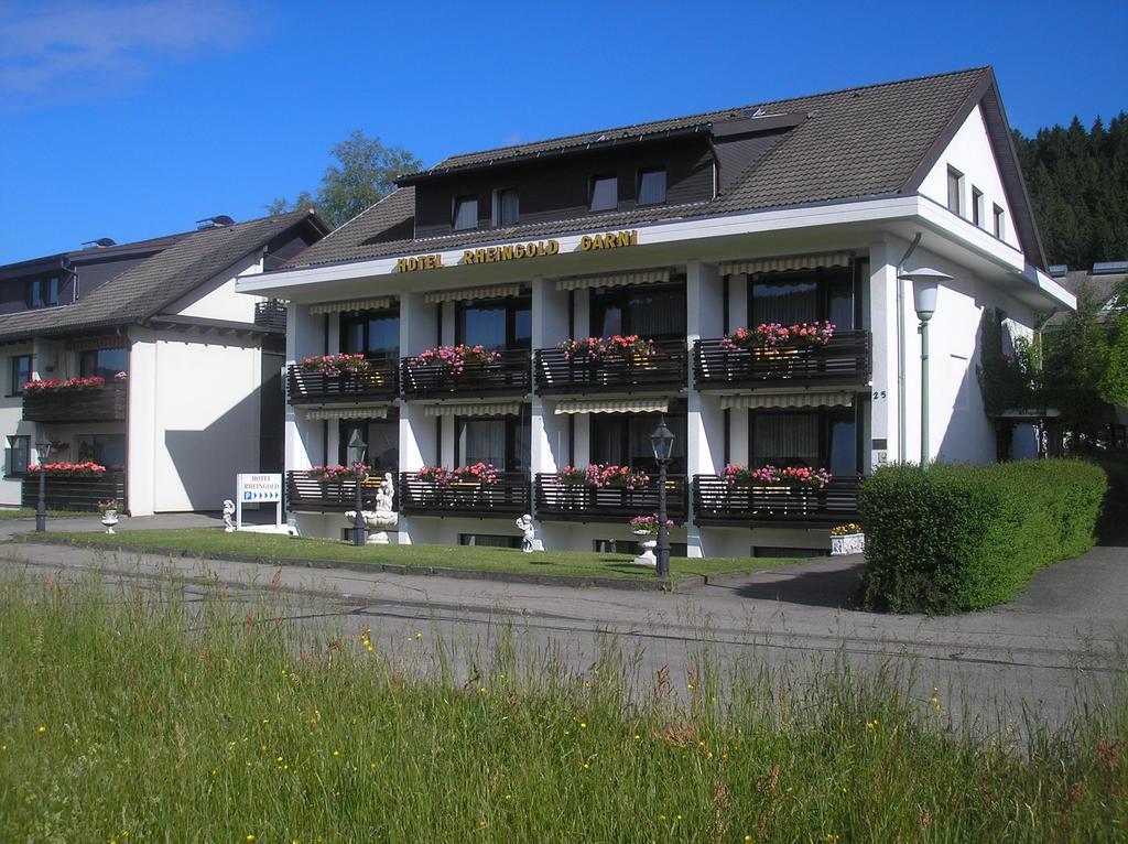 Hotel Rheingold Garni Titisee-Neustadt Buitenkant foto