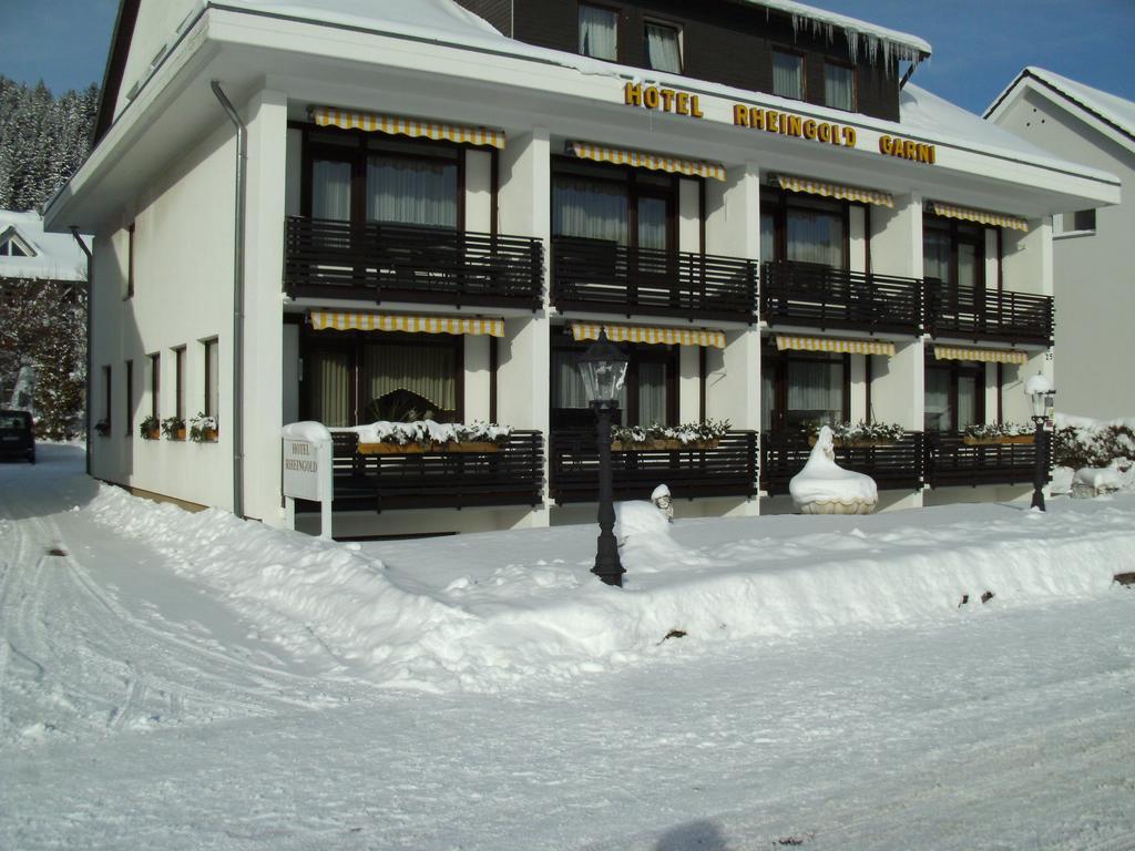 Hotel Rheingold Garni Titisee-Neustadt Buitenkant foto