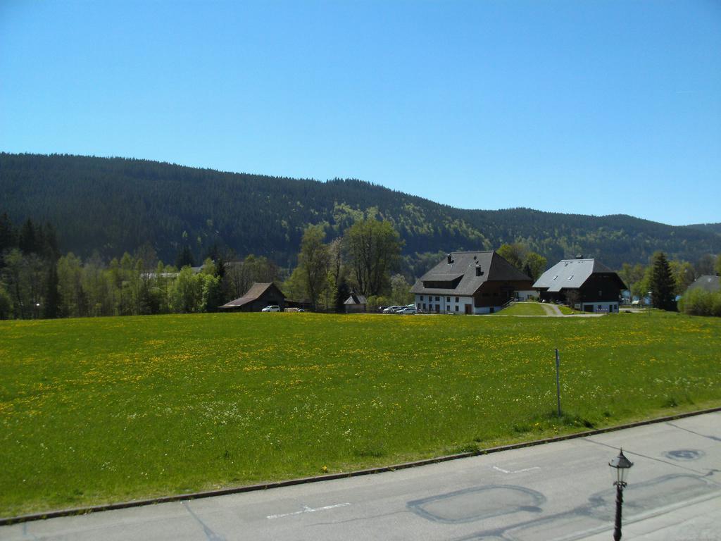 Hotel Rheingold Garni Titisee-Neustadt Buitenkant foto