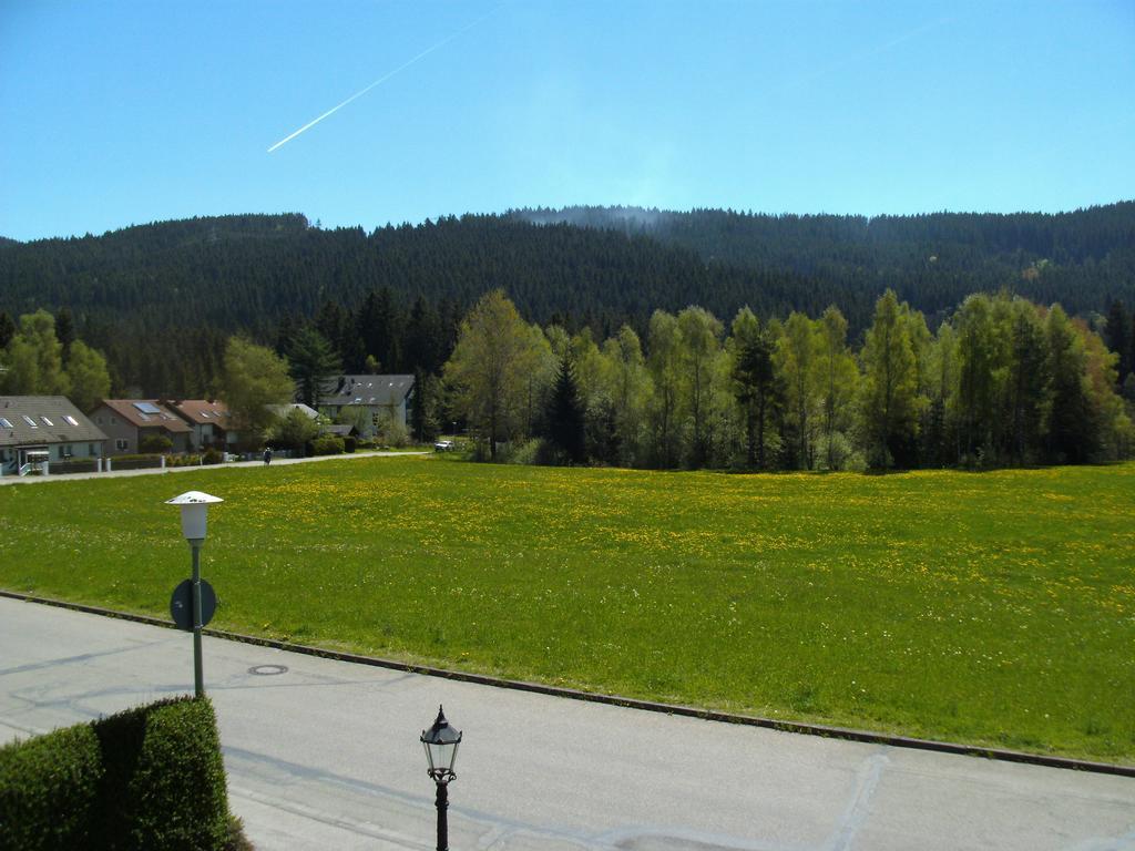 Hotel Rheingold Garni Titisee-Neustadt Buitenkant foto