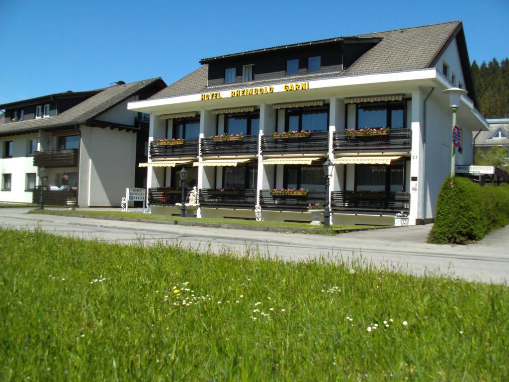 Hotel Rheingold Garni Titisee-Neustadt Buitenkant foto