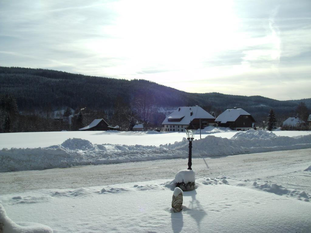 Hotel Rheingold Garni Titisee-Neustadt Buitenkant foto