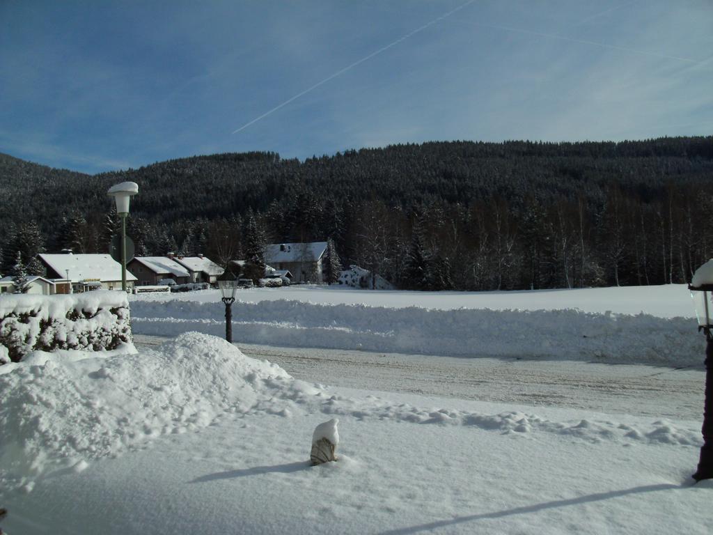 Hotel Rheingold Garni Titisee-Neustadt Buitenkant foto