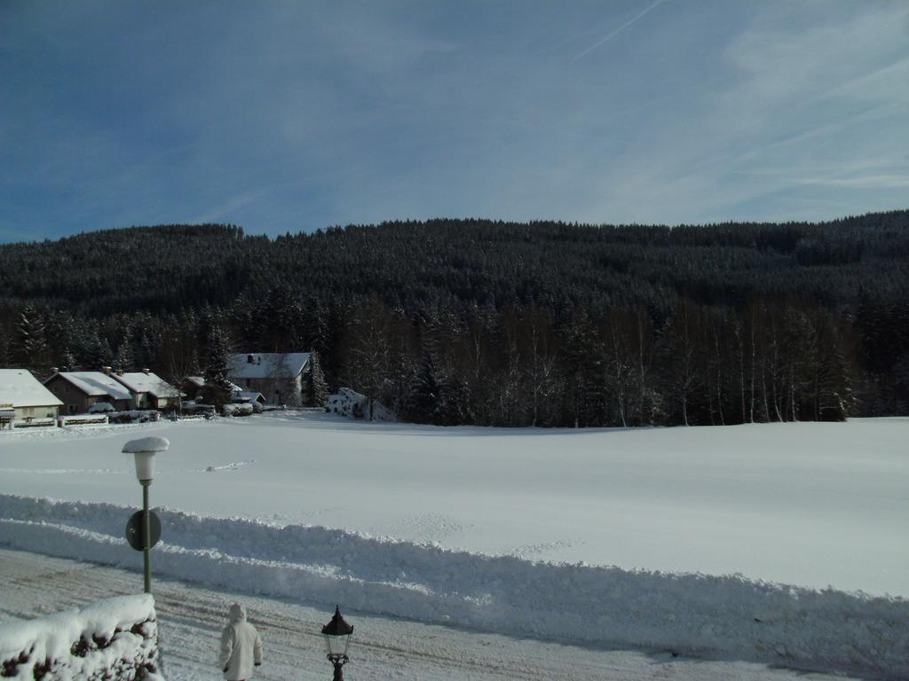 Hotel Rheingold Garni Titisee-Neustadt Buitenkant foto